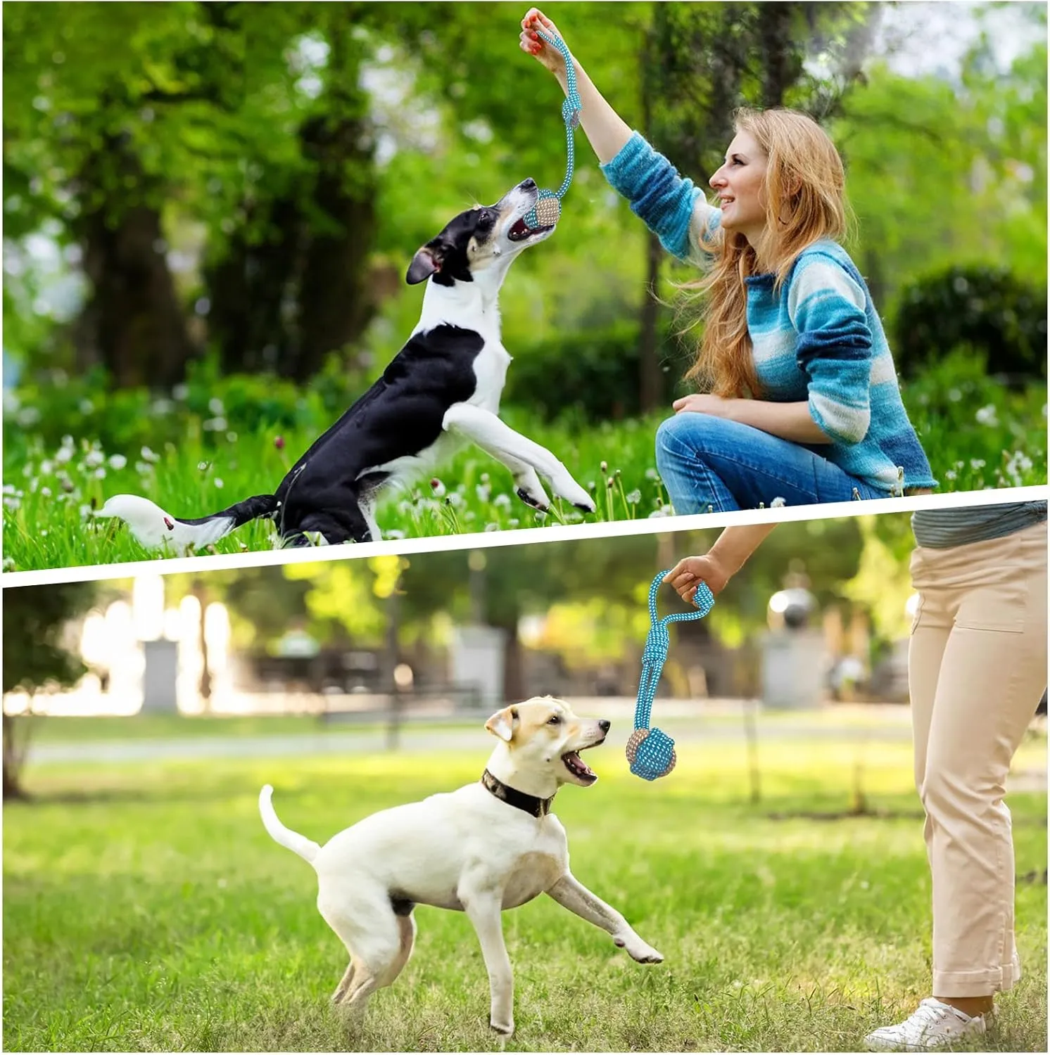 7 Pack Puppy Rope Toys - Variety of Cotton Rope Toys for Small Dogs, Teething, Chewing & Keeping Dogs from Being Bored - Blue