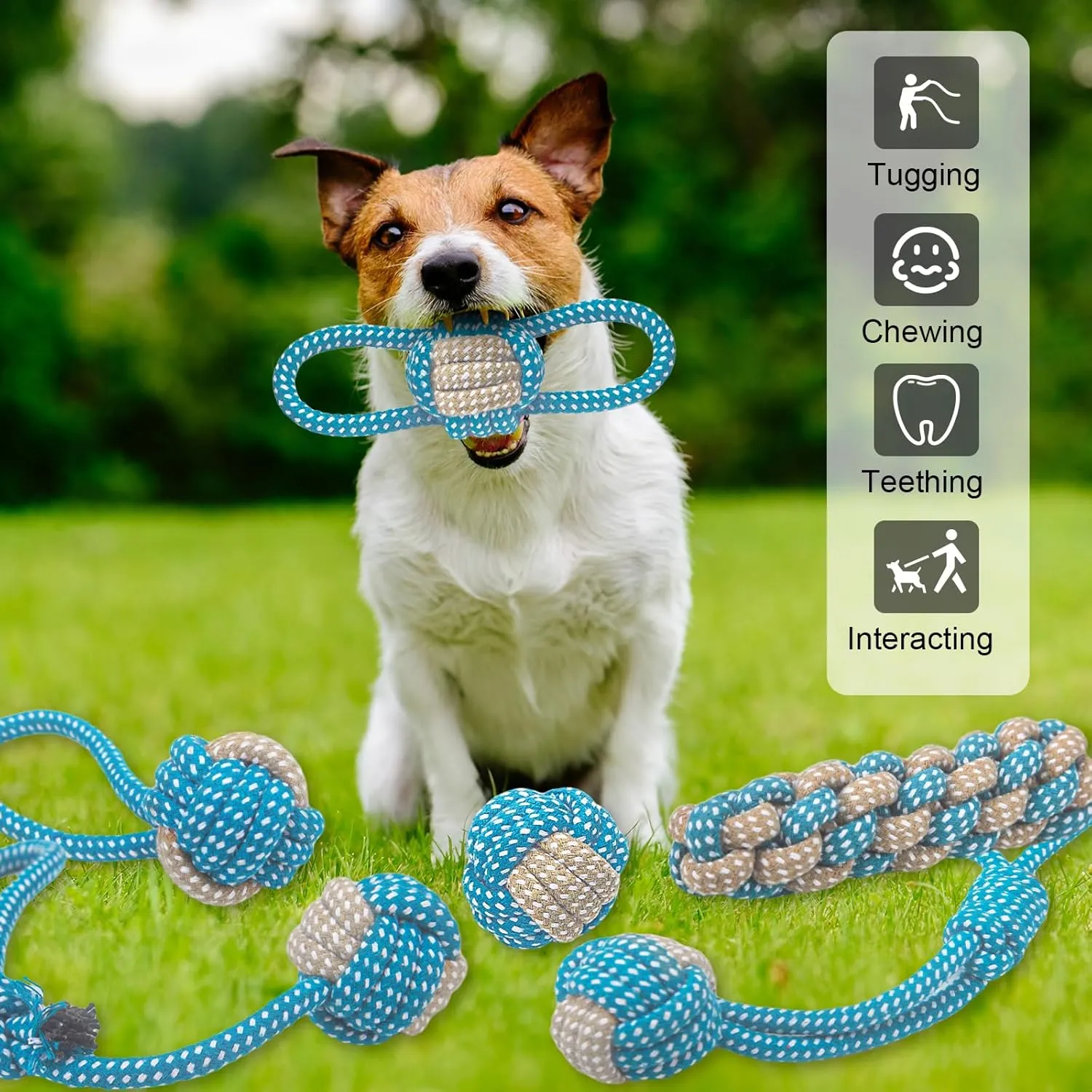 7 Pack Puppy Rope Toys - Variety of Cotton Rope Toys for Small Dogs, Teething, Chewing & Keeping Dogs from Being Bored - Blue