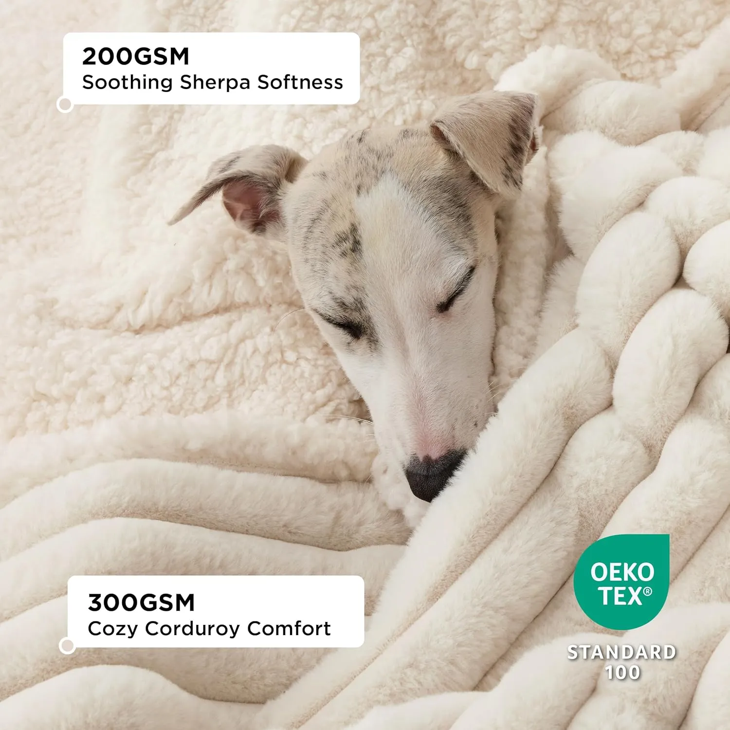 Bedsure Waterproof Dog Blankets for Small Dogs - Soft Puppy Cat Blanket Corduroy Fleece Washable, Cozy Calming Reversible Furniture Protection for Pet Kitten Doggy,25"x35", Cream