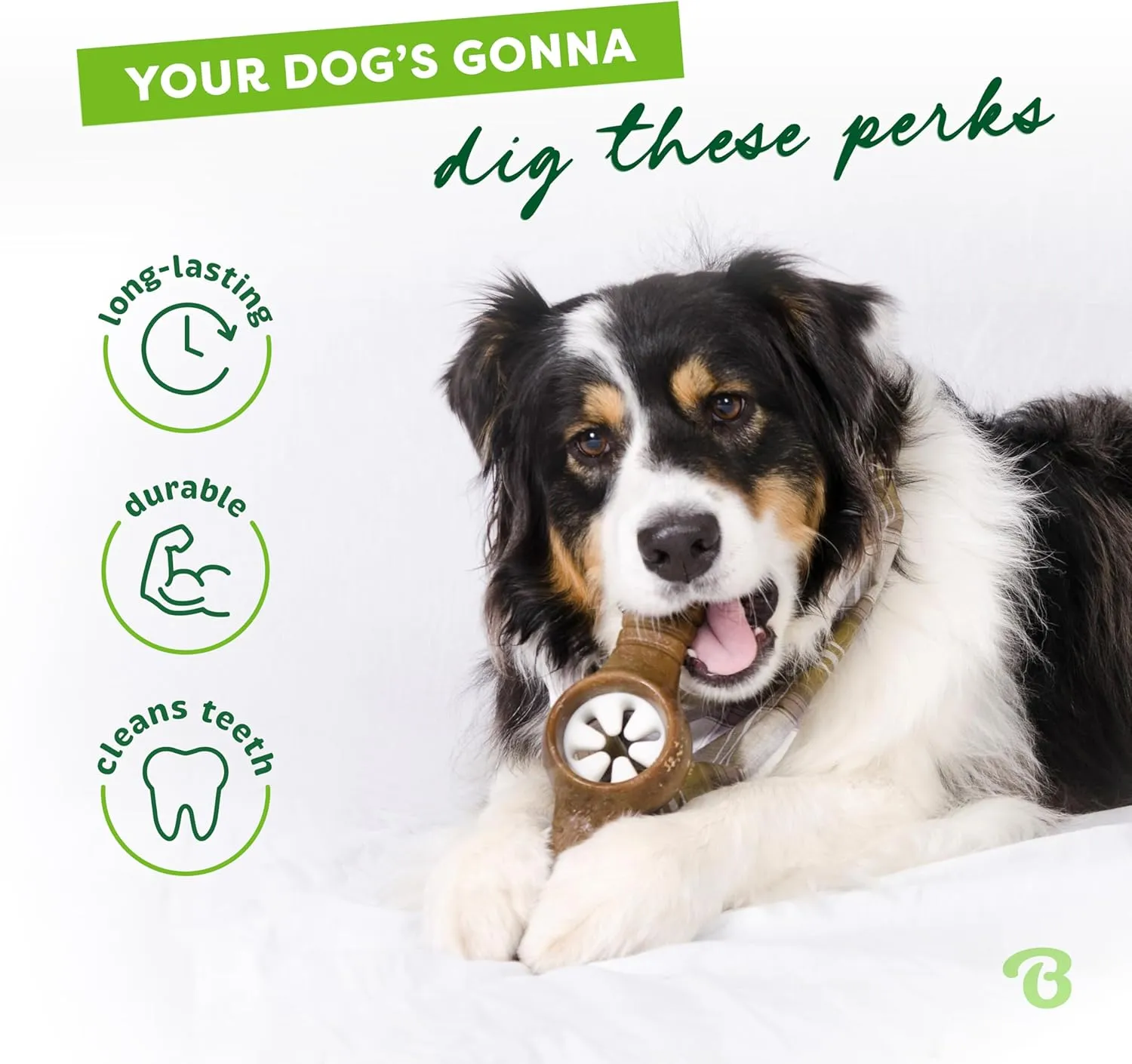 Benebone Pawplexer Interactive Treat Dispensing Tough Dog Puzzle Chew Toy, Made in USA, Small, Real Bacon Flavor