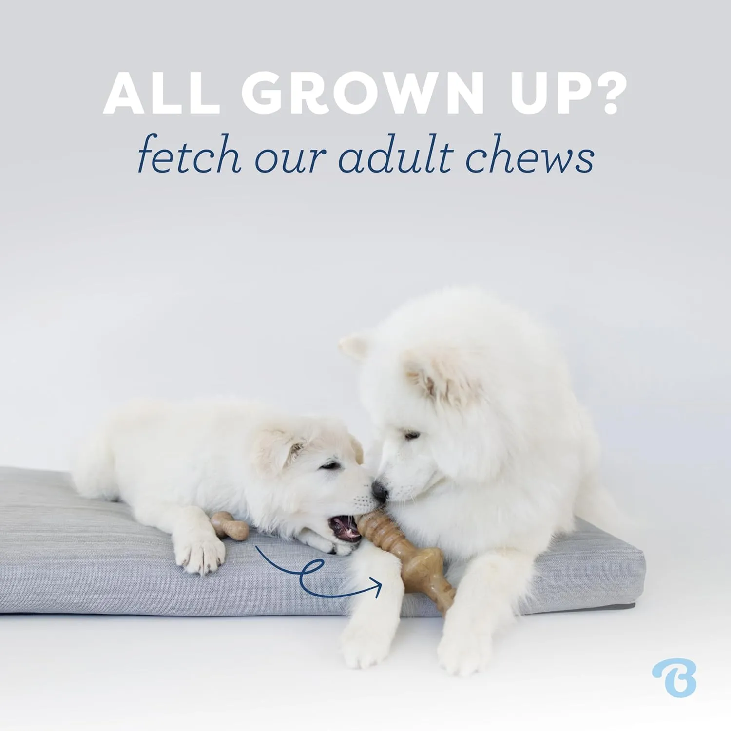 Benebone Puppy Fishbone Dog Chew Toys, Softer for Modest Chewers, Made in USA