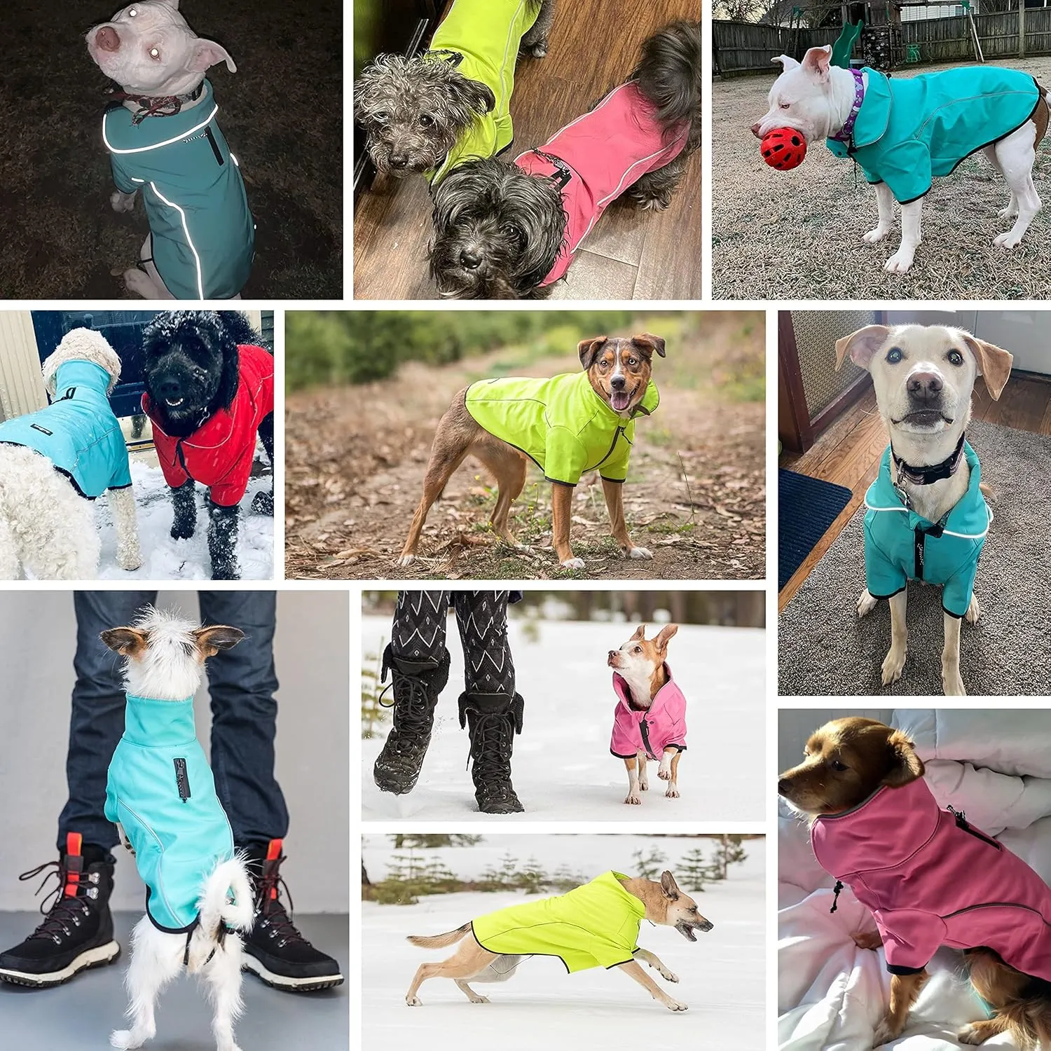 Blueberry Pet Windproof Waterproof Reflective Softshell Dog Jacket, Cyan Blue, Back Length 27.5", Size 26, Warm & Lightweight Winter Outdoor Windbreaker Coats Raincoats for Dogs