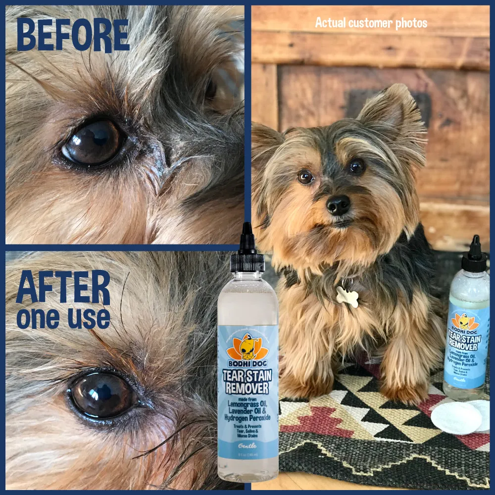 Bodhi Dog Tear Stain Remover | Removes Dog & Cats Tears, Saliva & Mucus Stains | Safe Gentle Solution for Fur and Delicate Coats | Made in USA