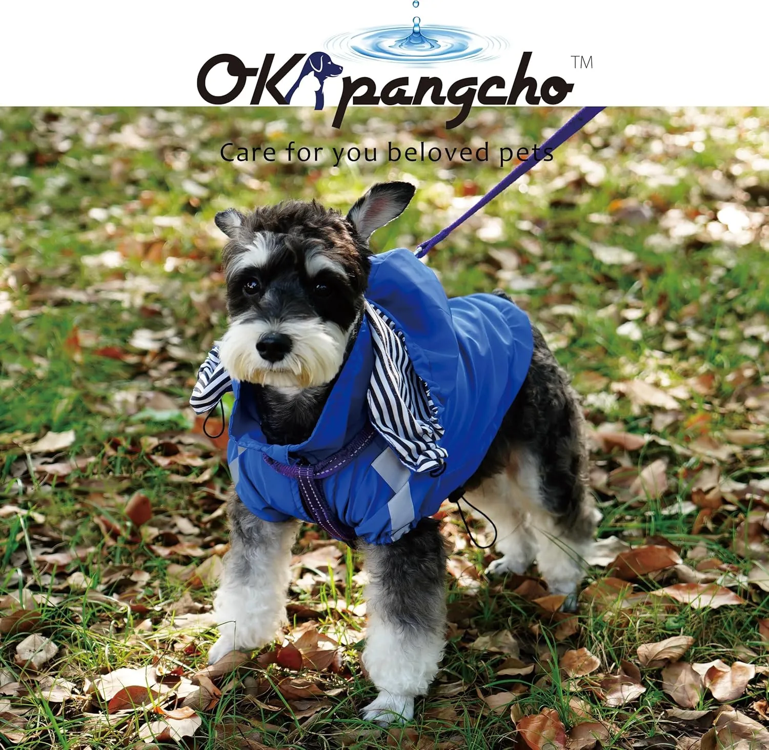 Breathable Dog Raincoat with Detachable Hood - Reflective Strips, 6 (S-35XL) - Rain/Water Resistant(Blue,M)
