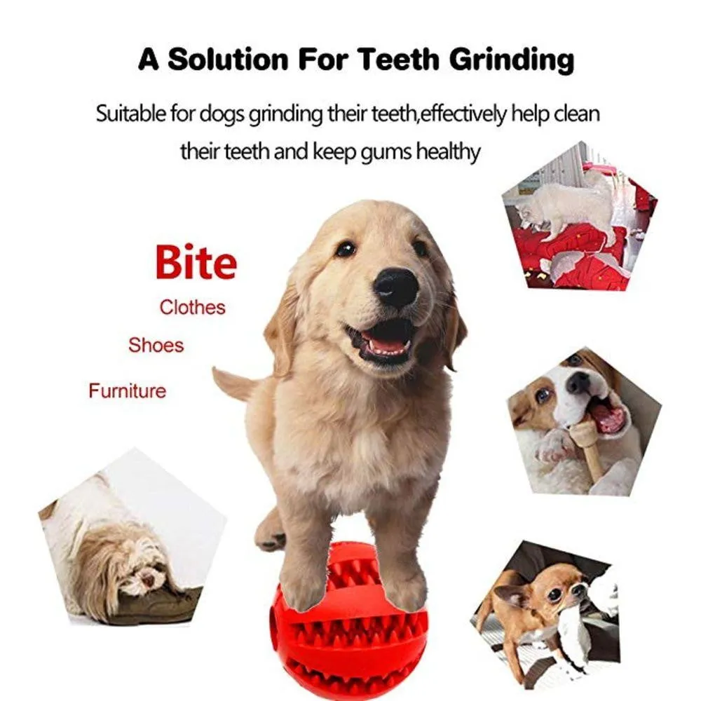 Chew Ball Dog Toys Non-Toxic Soft Rubber IQ Treat Dispensing