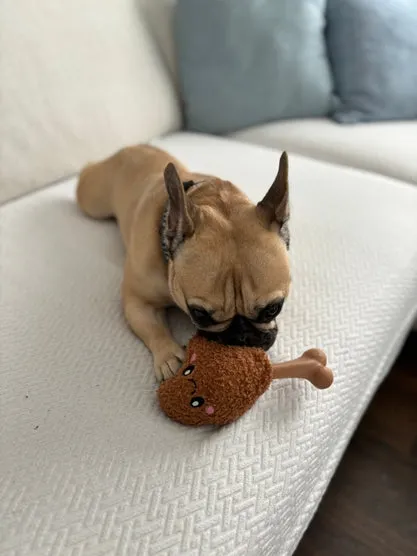 Chicken Bone 2-in-1 Dog Toy