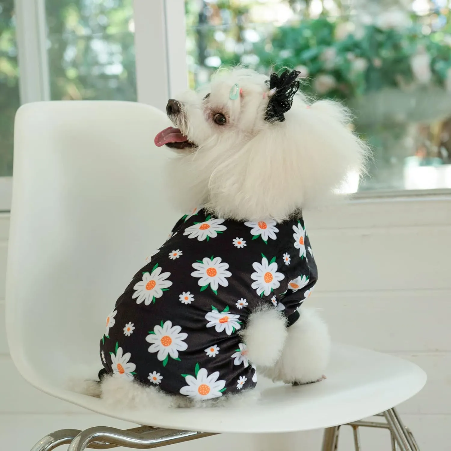 CuteBone Small Dogs Outfit Soft Puppy Onesies Pjs Dog Pajamas Pet Coat Cat Apparel Comfy Doggie Jumpsuit Bodysuit for All Seasons P221L