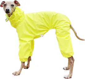 D Doggy Star Italian Greyhound Raincoat Waterproof Jacket Windbreaker Clothes Whippet for Dog (M,Raincoat Yellow)