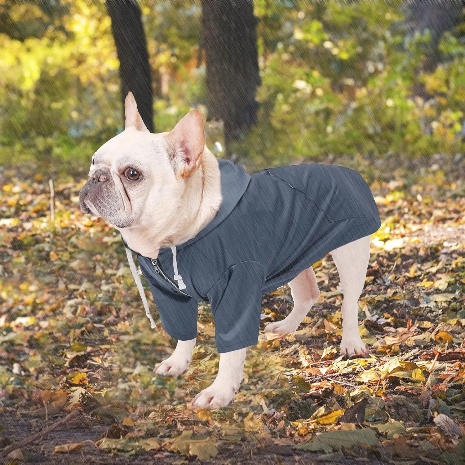 Dog Raincoat rain Jacket Raincoat Dogs Waterproof Small Medium Breeds Zip Closure Storage Pocket Harness Hole Blue M