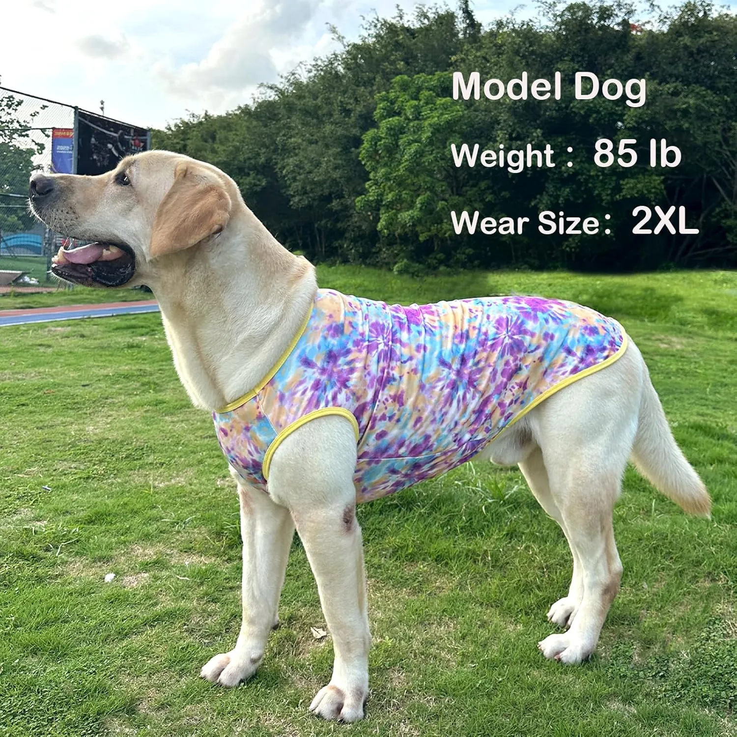 Dog Tie dye Sleeveless T Shirt Purple Yellow Printed Dogs Vest Shirt Pajamas Breathable Stretchy Summer Clothes for Extra Large Dog Boys Girls2X-Large,Purple