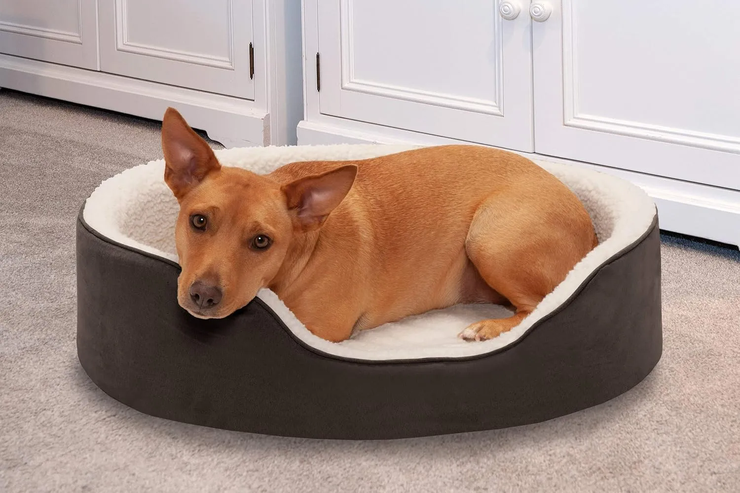 Furhaven Orthopedic Dog Bed for Large/Medium Dogs w/ Removable Washable Cover, For Dogs Up to 30 lbs - Sherpa & Suede Oval Lounger - Espresso, Large