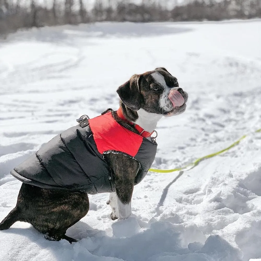 Gooby Padded Vest Dog Jacket - Red, Large - Warm Zip Up Vest Fleece Jacket with Dual D Ring Leash - Winter Water Resistant Sweater - Clothes for Small and Medium Dogs