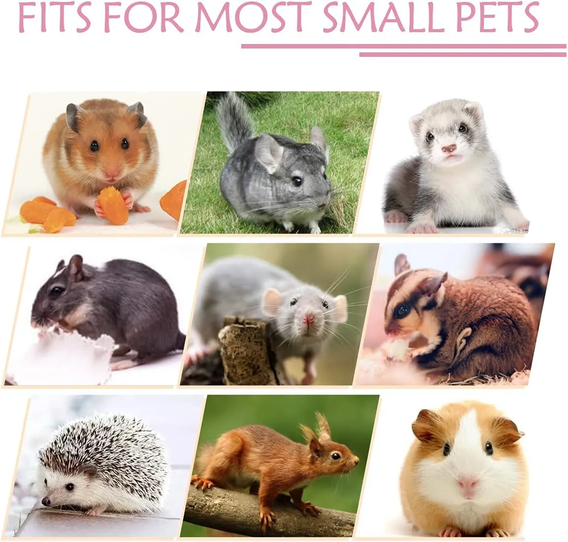 Guinea Pig Ferret Rat Hammock Toy Small Animal Cage Accessories Hideout Tunnel & Bunkbed Hammock for Rat Ferret Guinea Pig Hamster Sugar Glider Chinchilla