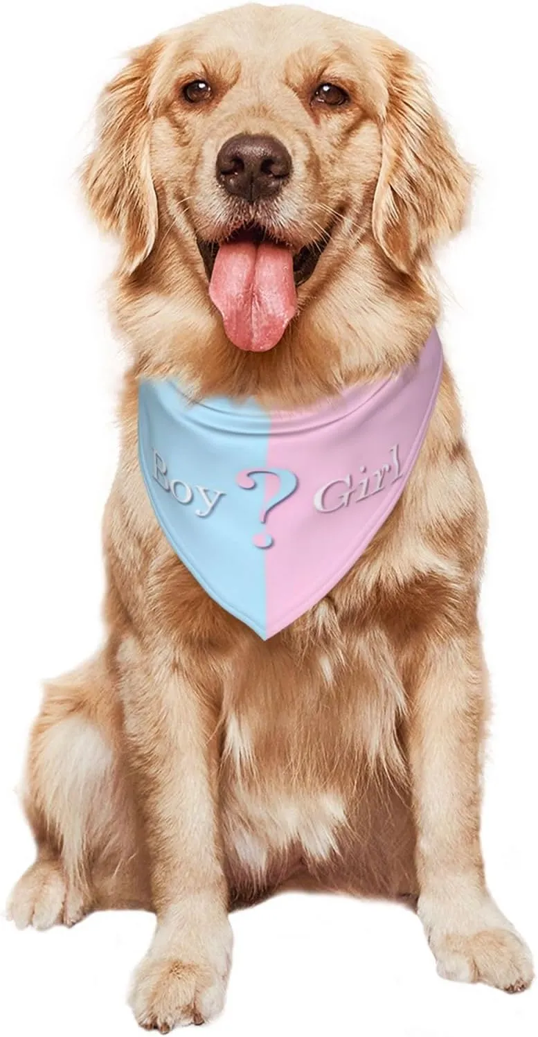 He Or She What Will It Be? Gender Reveal/Baby Announcement Dog Bandana,Pet Neckerchief for Pets Daily Wear Photo Prop Party Supplies (Blue)