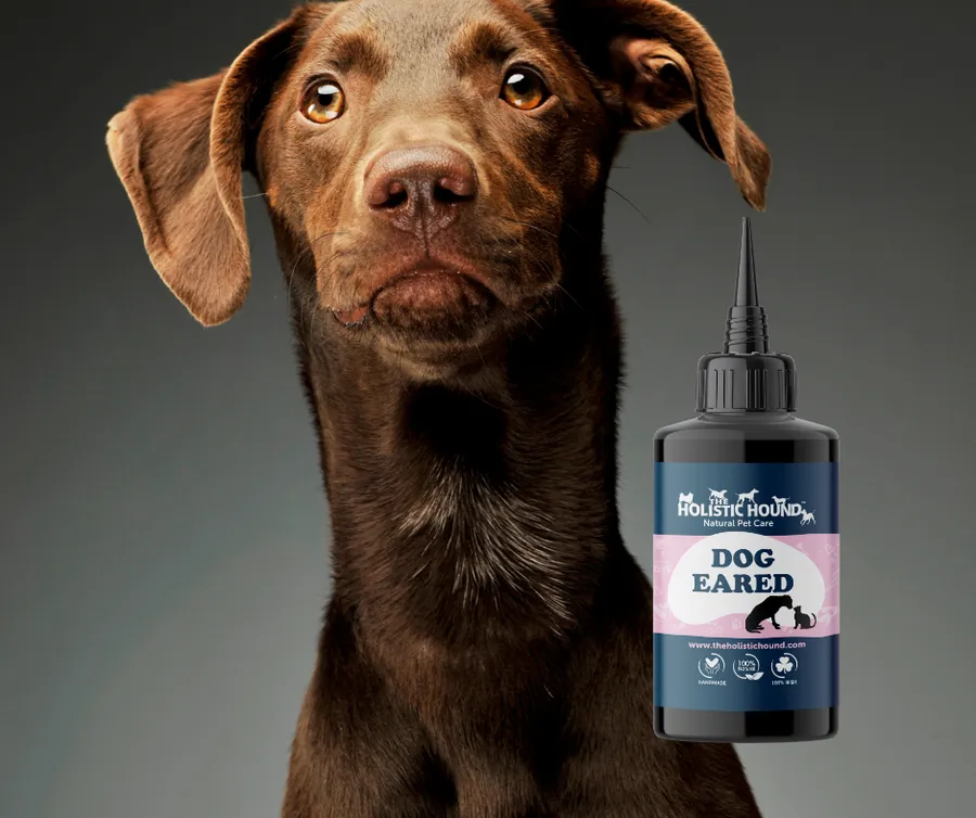 Holistic Hound Dog Eared Dog Ear Cleaner