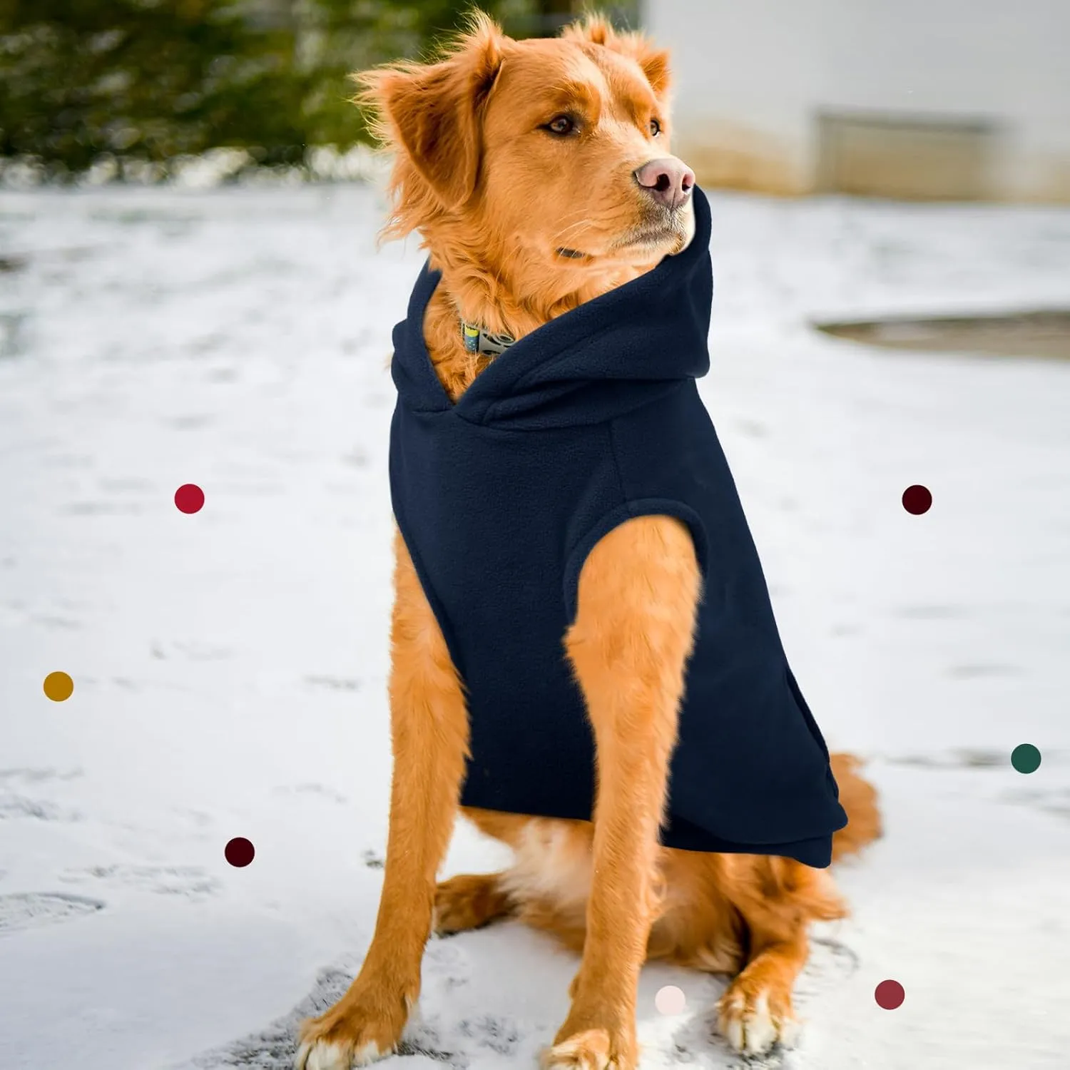 IECOii Dog Hoodie for Large Dogs,Warm Fleece Dog Sweater with Leash Hole,Cozy Dog Cold Weather Coat for Fall Winter Dog Sweatshirt,Large Dog Hoodies Fleece Vest for French Bulldog,Dachshund,Blue,L