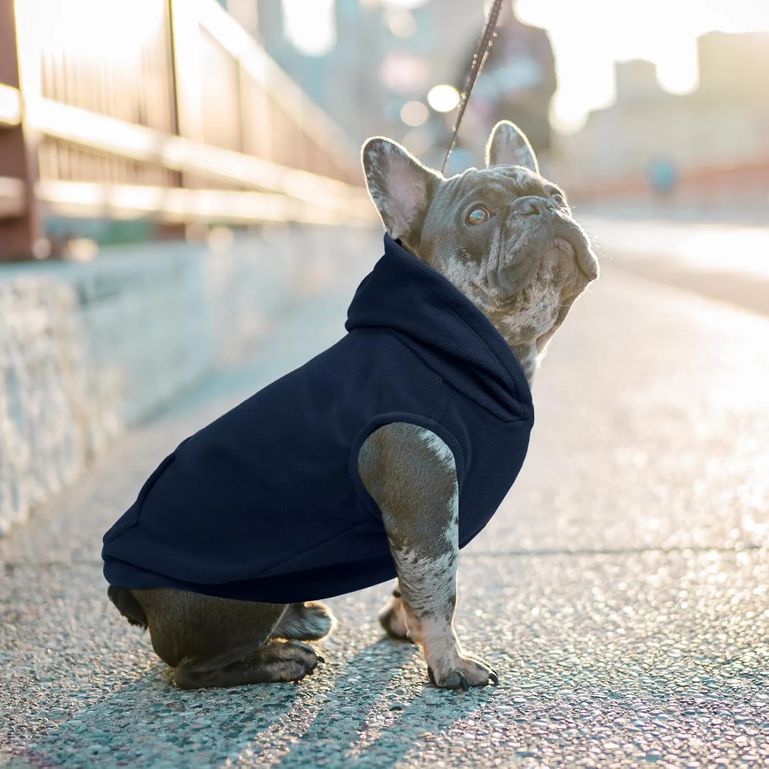IECOii Dog Hoodie for Large Dogs,Warm Fleece Dog Sweater with Leash Hole,Cozy Dog Cold Weather Coat for Fall Winter Dog Sweatshirt,Large Dog Hoodies Fleece Vest for French Bulldog,Dachshund,Blue,L