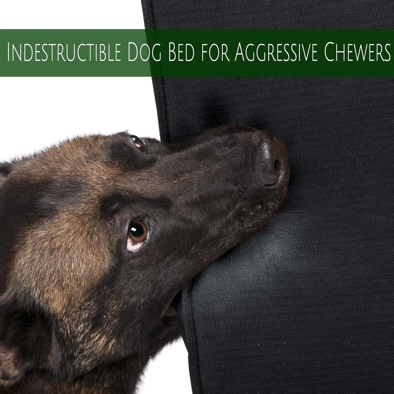 Indestructible Bed for Aggressive Chewers - Waterproof, Heavy Duty, Chew Proof for Large Dogs - Removable, Washable Cover - Orthopedic Memory Foam, Durable Tough Mat for Crate 41"x27"