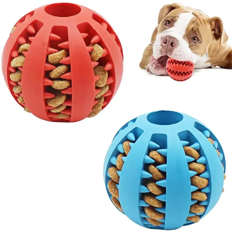 Interactive Elastic Puppy Chew Toy