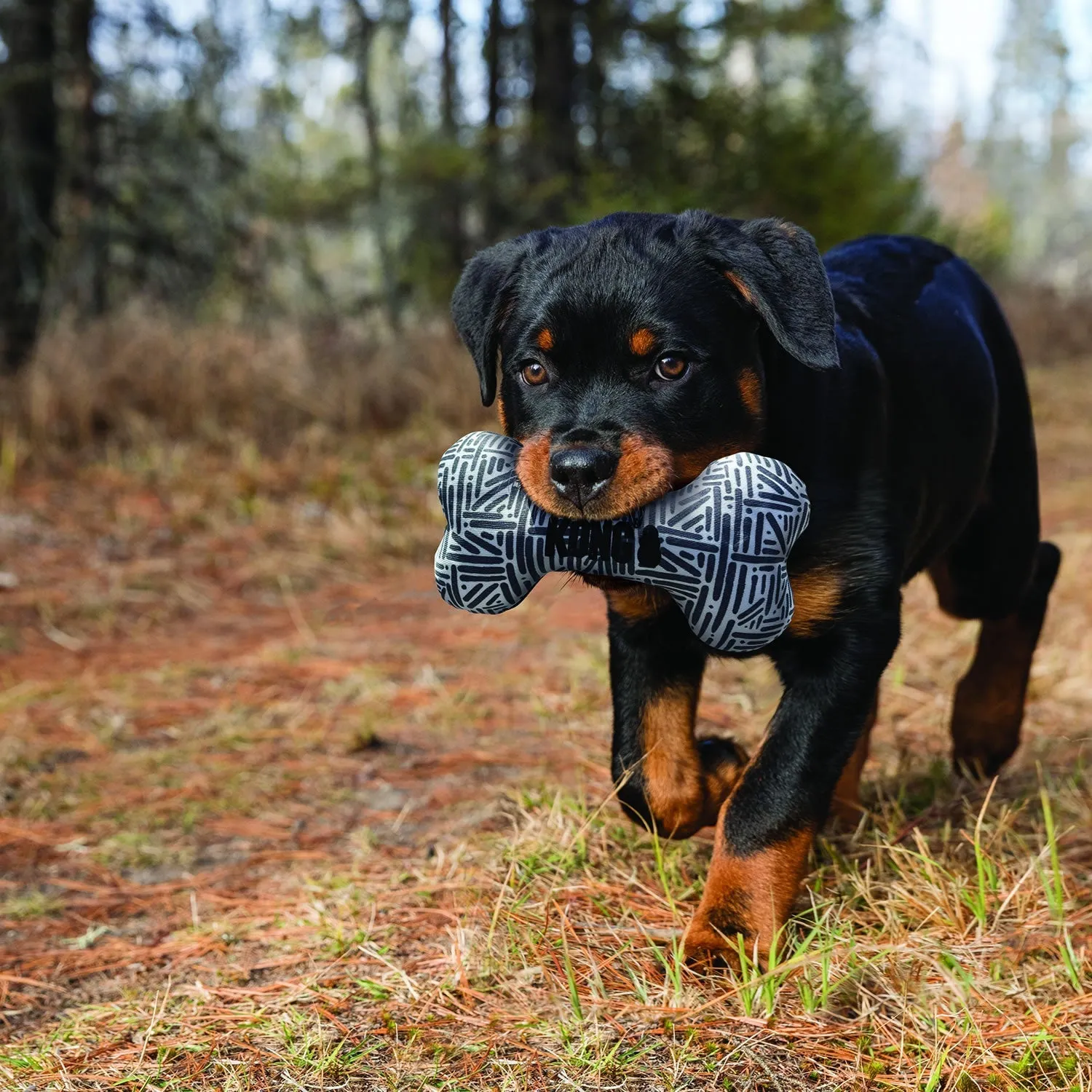 Kong Maxx Bone Dog Toy