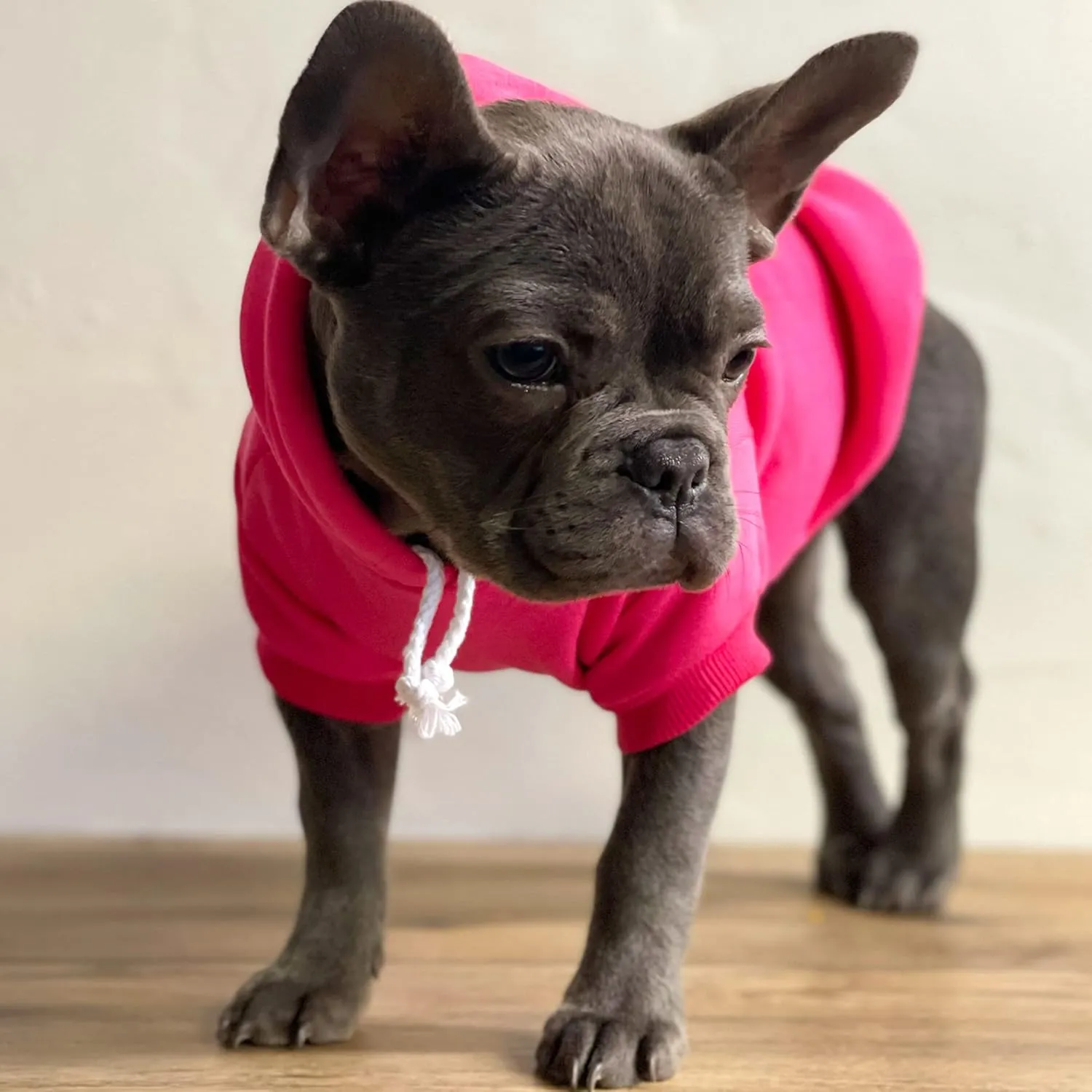 Love My Sailor Dog Hoodie Fleece Lined Pullover Sweatshirt with Leash Hole (Green, X-Small 90)