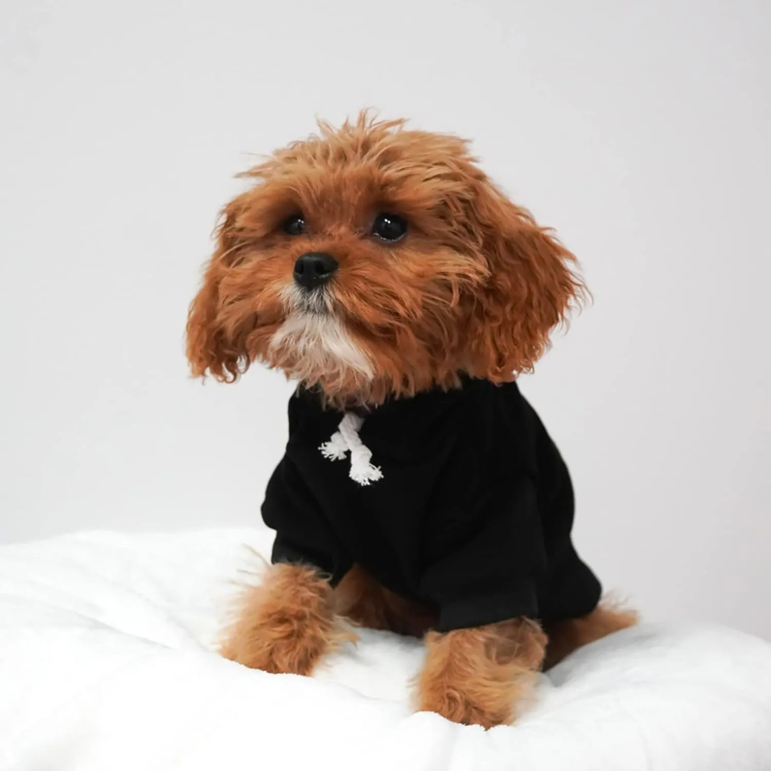 Love My Sailor Dog Hoodie Fleece Lined Pullover Sweatshirt with Leash Hole (Green, X-Small 90)