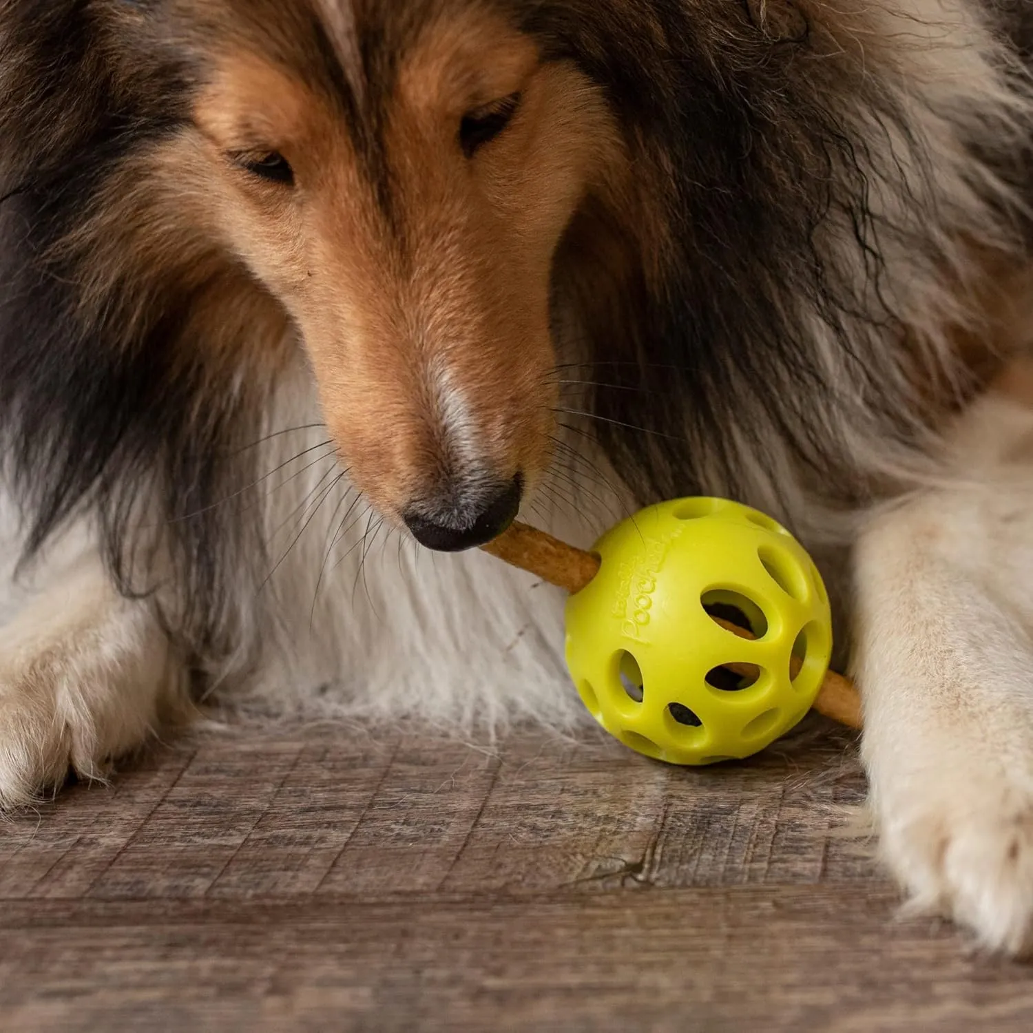 Messy Mutts Totally Pooched Huff'n Puff Ball | 2.5 TPR Puzzle Ball for Dogs | 2-in-1 Durable Interactive Toy and Tooth Cleaner | Green