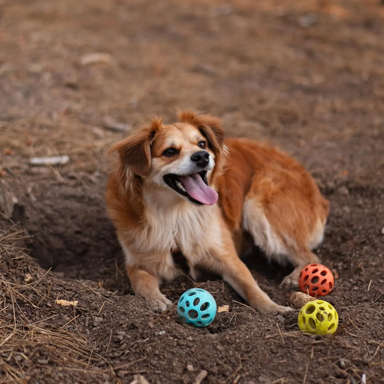 Messy Mutts Totally Pooched Huff'n Puff Ball | 2.5 TPR Puzzle Ball for Dogs | 2-in-1 Durable Interactive Toy and Tooth Cleaner | Green