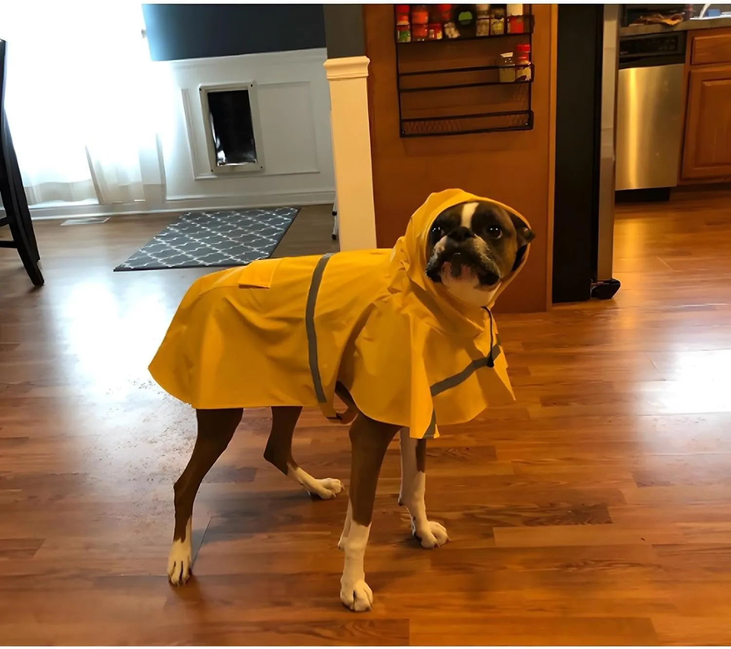 NACOCO Large Dog Raincoat Adjustable Pet Water Proof Clothes Lightweight Rain Jacket Poncho Hoodies with Strip Reflective (L, Yellow)