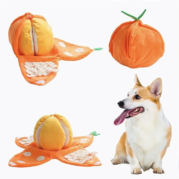 Nocciola 5-in-1 Orange Dog Enrichment Toys