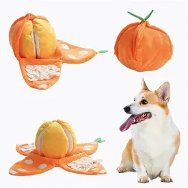 Nocciola 5-in-1 Orange Dog Enrichment Toys