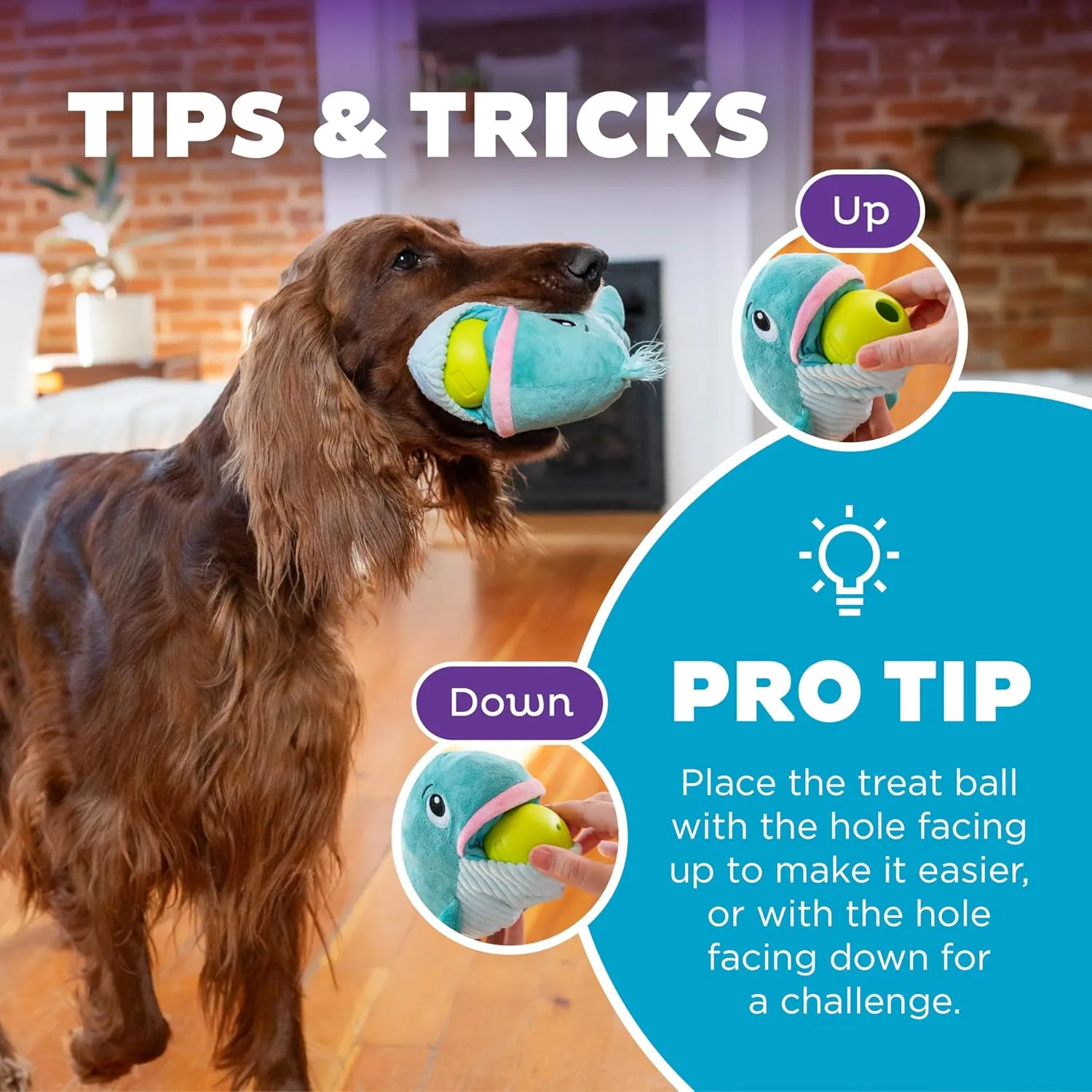 Outward Hound by Nina Ottosson Big Mouthz Interactive Plush Dog Puzzle with Treat Ball, Whale, Blue