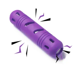 Pawsindia, Rubber Bottle Chew Toy for Dog, Purple