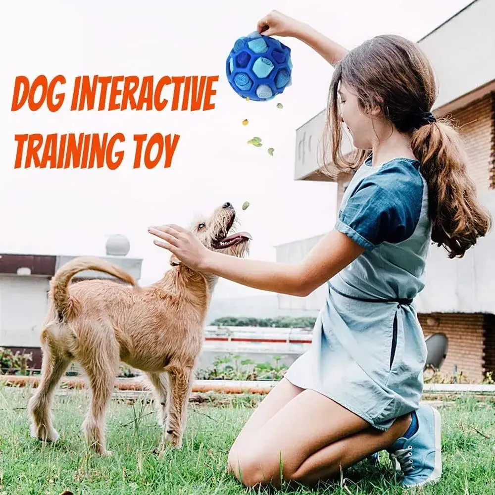 Pet Smell-Fried Ball Toy