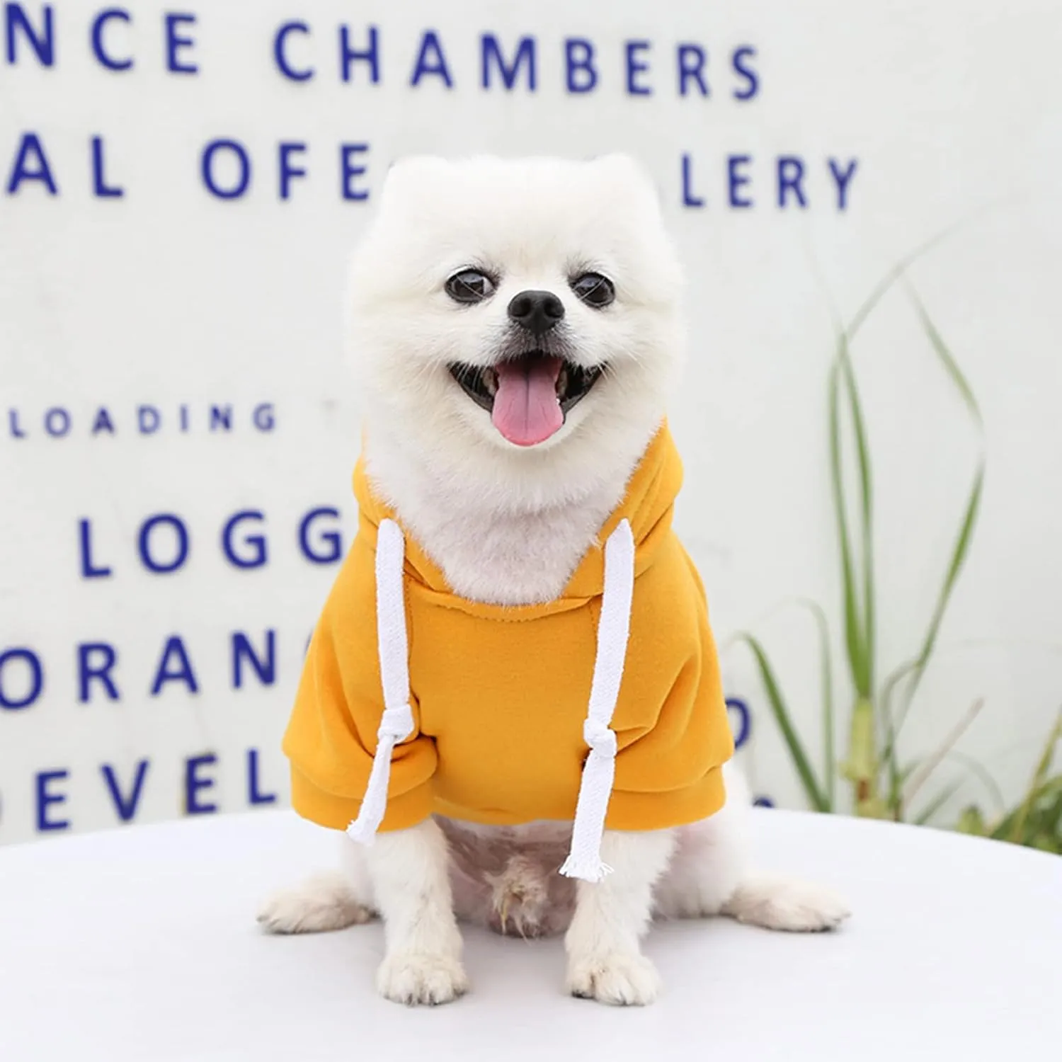 PETCARE Small Dog Sweater Hoodies Pet Yellow Hooded Soft Fleece Sweatshirts with Pocket Fall Winter Puppy Cat Sweaters Warm Clothes for Small Dogs Shih Tzu Yorkies French Bulldog Outfits Costume