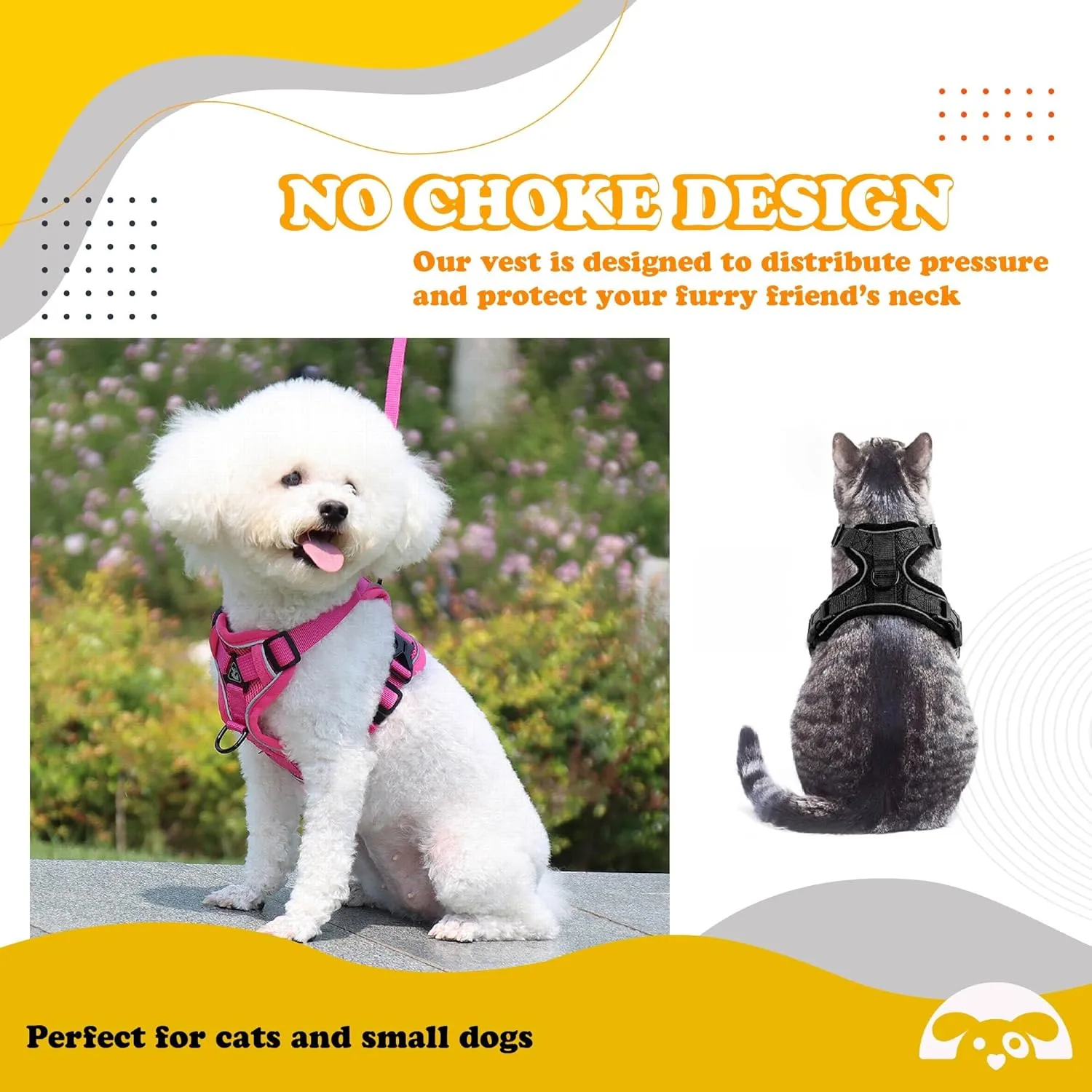 PetnBeyond Kitten Harness and Leash Set - Secure, Comfortable Control with Breathable Mesh Jacket - Adjustable Vest for Safe Walks with Reflective Strips - Kitty Escape Proof Kit (Medium, Blue)