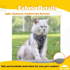 PetnBeyond Kitten Harness and Leash Set - Secure, Comfortable Control with Breathable Mesh Jacket - Adjustable Vest for Safe Walks with Reflective Strips - Kitty Escape Proof Kit (Medium, Blue)