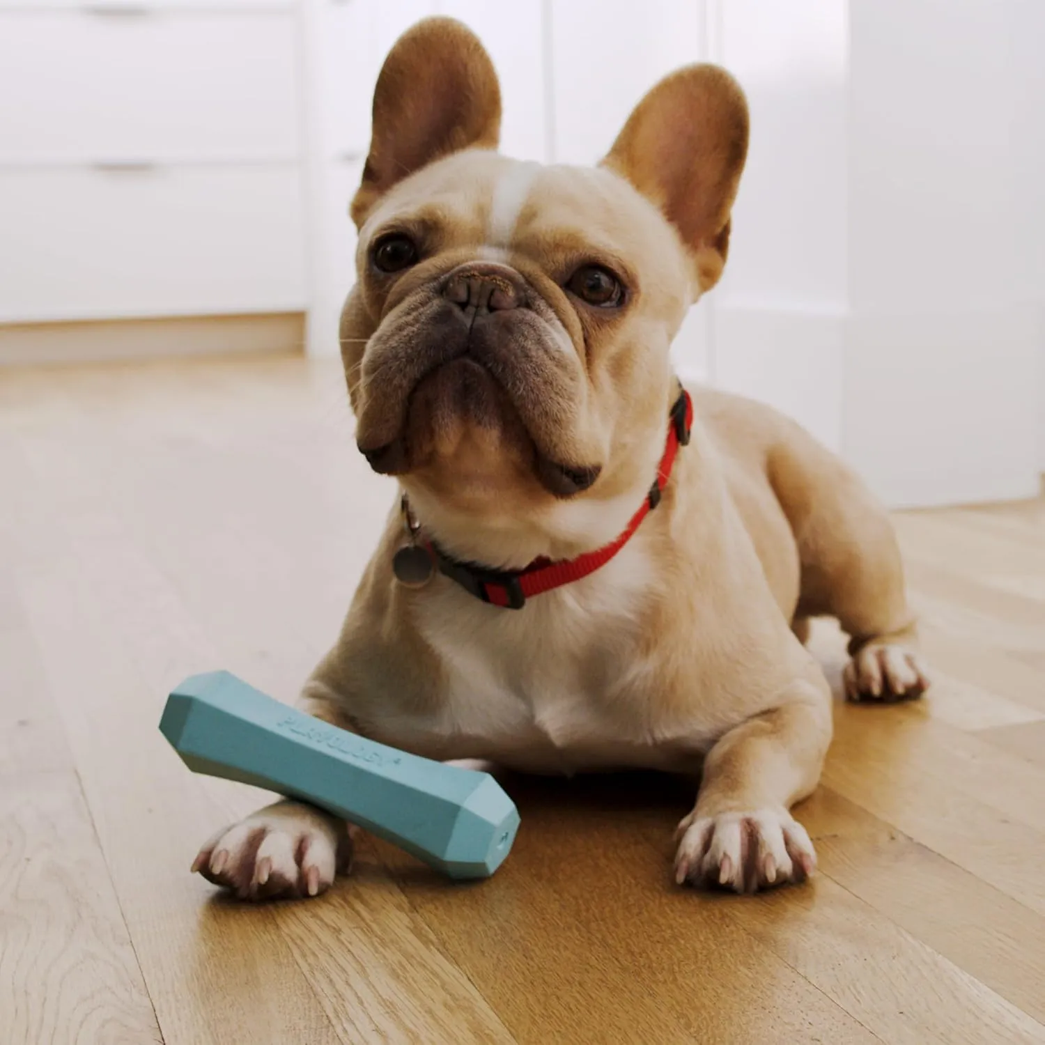 Playology Squeaky Chew Stick Dog Toy for Medium Dogs up to 50lbs | Engaging All-Natural Peanut Butter Scented Chew Toy for Tough Chewers | Easy to Clean & Non-Toxic Materials