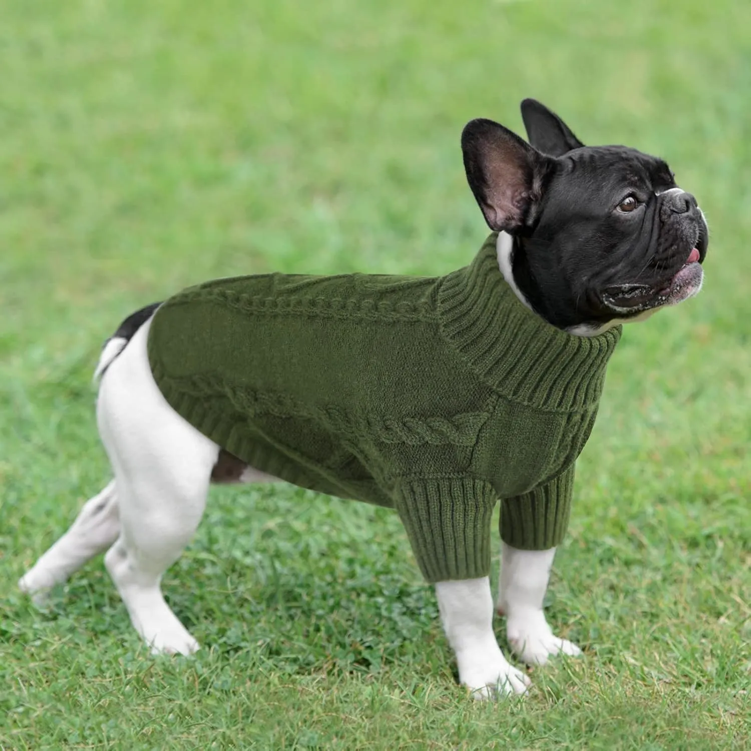 Queenmore Small Dog Pullover Sweater, Cold Weather Cable Knitwear, Classic Turtleneck Thick Warm Clothes for Chihuahua, Bulldog, Dachshund, Pug (Army Green, Small)