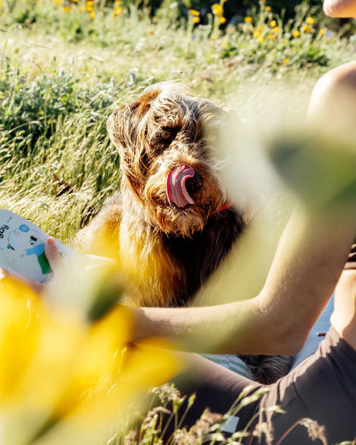 Rigby Organic Squeeze Treat