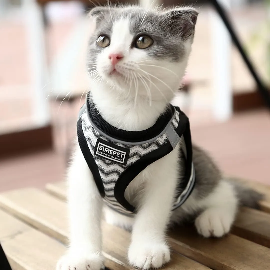Soft Mesh Dog Harness and Leash Set, Step-in Reflective Breathable Comfort Padded Quick Dry Pet Puppy Vest Harness for Extra-Small/Small Medium Dogs and Cats (White, L)