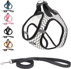 Soft Mesh Dog Harness and Leash Set, Step-in Reflective Breathable Comfort Padded Quick Dry Pet Puppy Vest Harness for Extra-Small/Small Medium Dogs and Cats (White, L)
