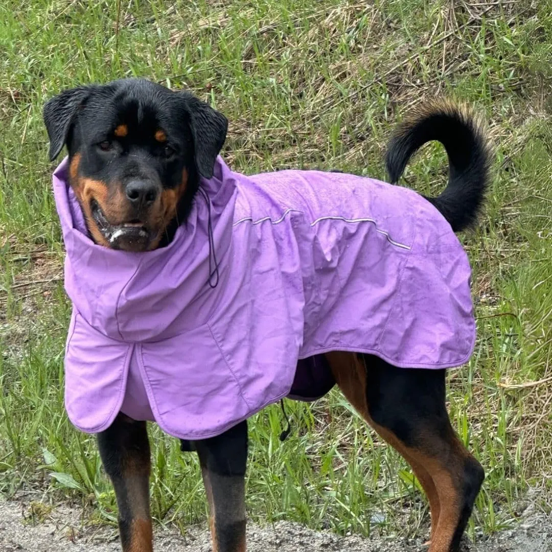 Spark Paws Dog Raincoat, Waterproof Windproof Rain Jacket, for Small Medium Large Extra Large Dogs, Reflective Breathable Full-Body Coverage Dry Suit - Purple - 3XL