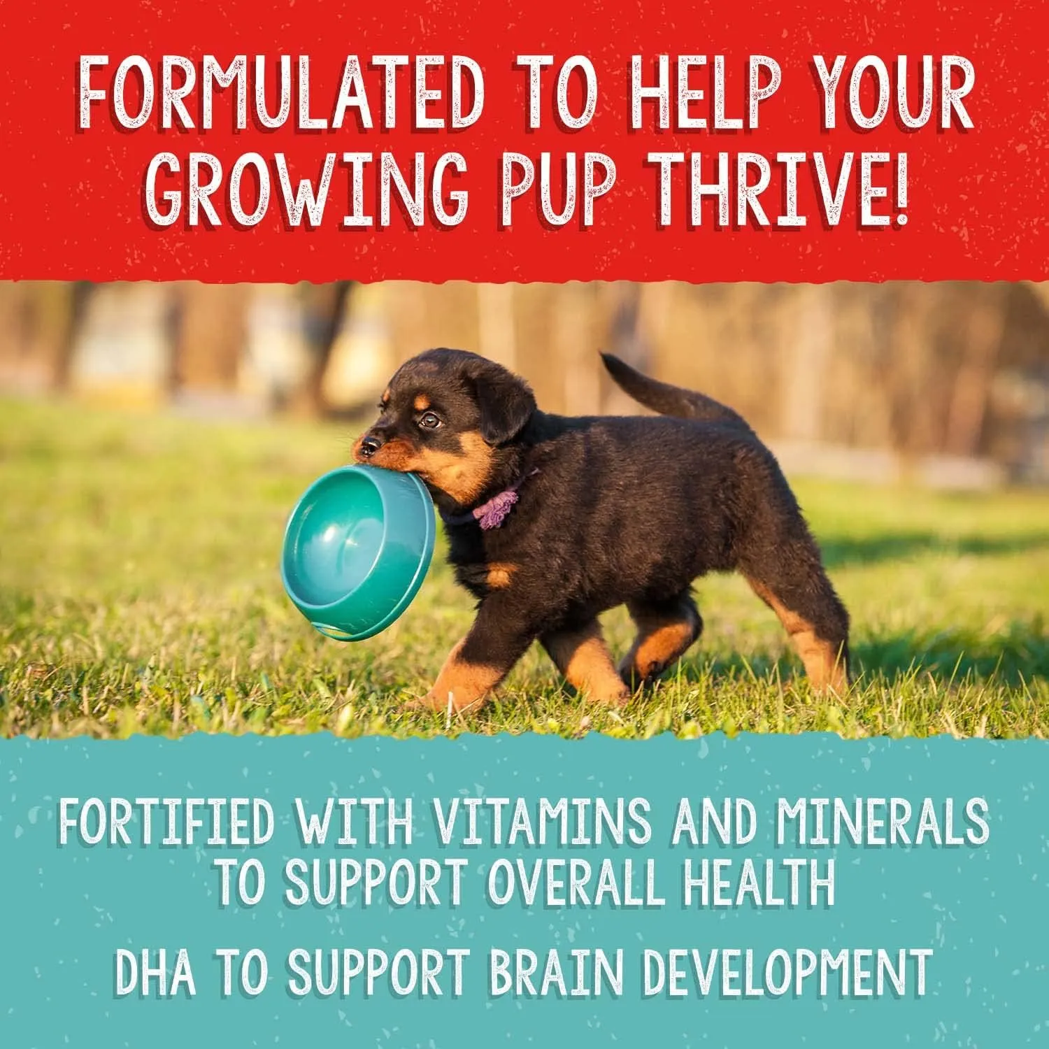 Stella & Chewy's Freeze Dried Raw Meal Mixers  Crafted for Puppies  Grain Free, Protein Rich Perfectly Puppy Beef & Salmon Recipe  3.5 oz Bag