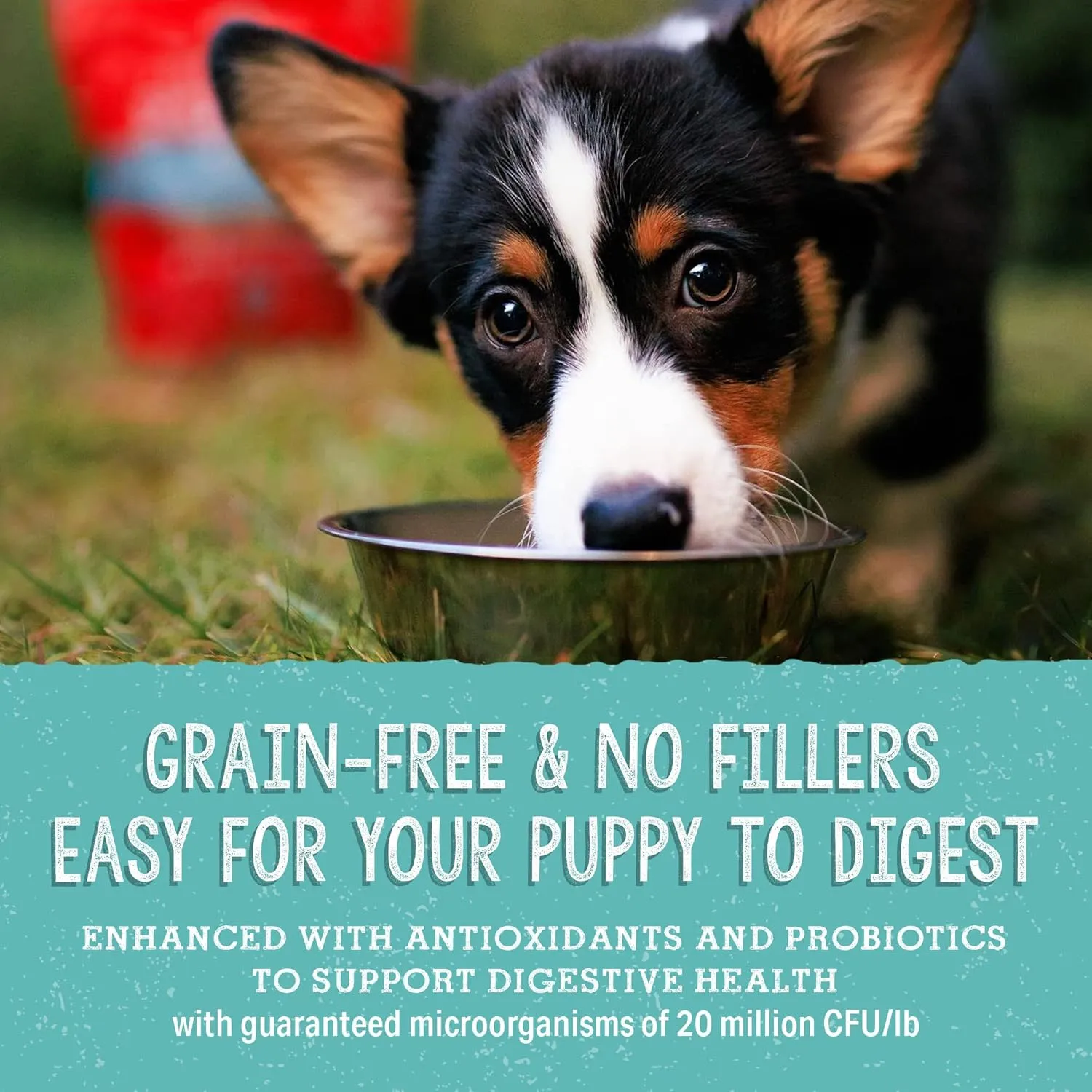Stella & Chewy's Freeze Dried Raw Meal Mixers  Crafted for Puppies  Grain Free, Protein Rich Perfectly Puppy Beef & Salmon Recipe  3.5 oz Bag